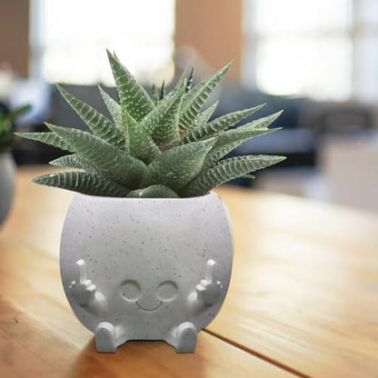 Smiling Plant Pot with Middle Fingers Up, Face Planter Pot Resin Flower Planters for Indoor Outdoor Plants Succulent Pots for String of Pearls Plant Live Gift Ideas for Mother (White) | Resin Face Planters for Indoor Outdoor, Unique Flower Pots with Drain