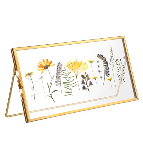 Double-Glass Dried Flower Frame, Brass Floating Frames for Pictures, Pressed Flowers, Leaves, Arts, Stamps, 4x 9 inches Decorative Tabletop Display Holder for Home Plant Specimen (FRAME ONLY)