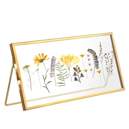 Double-Glass Dried Flower Frame, Brass Floating Frames for Pictures, Pressed Flowers, Leaves, Arts, Stamps, 4x 9 inches Decorative Tabletop Display Holder for Home Plant Specimen (FRAME ONLY)