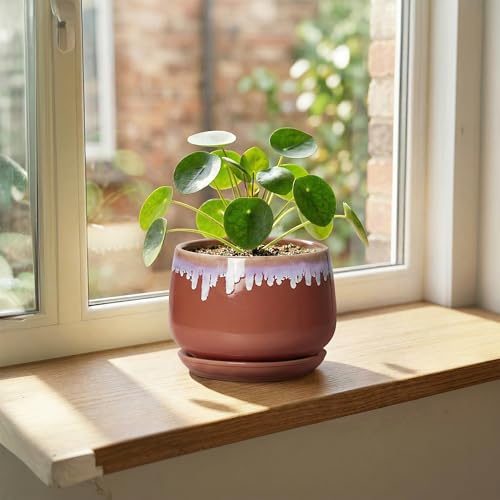 Ceramic Plant Pot - 6 Inch Planters for Indoor Plants, Round Ceramic Planter with Drainage Hole and Saucer, Decorative Small Plant Pots, Room Bookshelf Decor, Red-Purple - size: 6 Inch, style: Red-purple