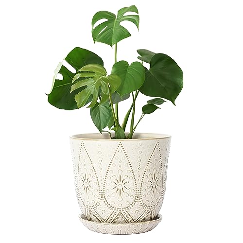Gepege 10 Inch Ceramic Plant Pot for Indoor Plants with Drainage & Saucer | Large ceramic plant pot with drainage hole, ceramic saucer and mesh pad, ideal for indoor plants, flowers and houseplants - color: Cream White, size: 10 Inch