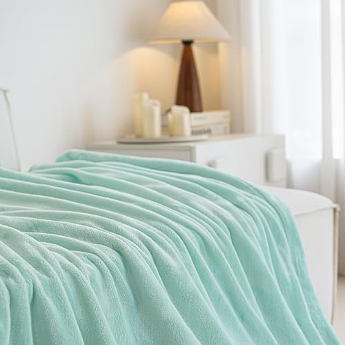 K.Garden Sherpa Throw Blanket for Couch Sofa, Super Soft Cozy Fuzzy Plush Blankets Fleece Thick Warm Blanket for Winter Reversible Thick Warm Blanket for Bed, Sofa,Green 6080 - color: Green 32, size: Twin (60" x 80")