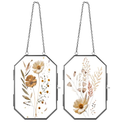 Qunclay 2 Pcs Double Glass Frame for Pressed Flower Frames Floating Wall Hanging Metal Chain for Display Dried Plant Specimen Picture Pretty Gifts for Mom Friends DIY Handy Craft(Black,8 x 10 Inch) - color: Black, size: 8 x 10 Inch