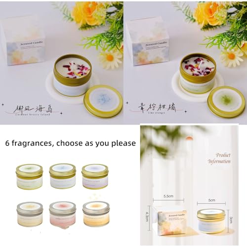 6Pack Scented Candles Set Soy Wax Aromatherapy Meditation Candles Candles for Home Scented, Ideal for Birthday, Christmas, Thanksgiving, Mother's Day