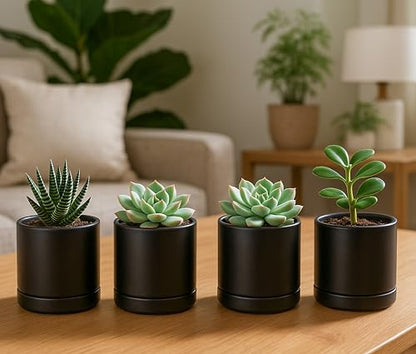D'vine Dev 4-Pack Ceramic Pots with Saucers, Black, 3.5 in, 94-X-A-2 | Glazed Ceramic, Drainage Hole and Saucer, Sleek Cylinder Shape, High Temperature Fired, Ideal for Small Houseplants - color: Black, size: 3.5 Inch