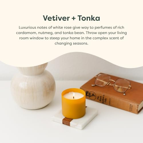 Dignity Series Vetiver & Tonka Scented Candle - 35 Hour Burn | Made in the USA Luxury Clean Soy Wax Candles - Long Lasting Matte Gold Glass Jar Candle for Home - 1 Wick - 5.3oz - color: Vetiver + Tonka