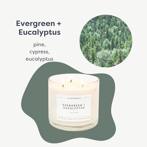 Evergreen & Eucalyptus 3 Wick Scented Candle - 43 Hour Burn | Made in the USA Luxury Clean Soy Wax Candles - Long Lasting Large Glass Jar Candle for Home - 3 Wicks - 14.9oz - color: Evergreen + Eucalyptus