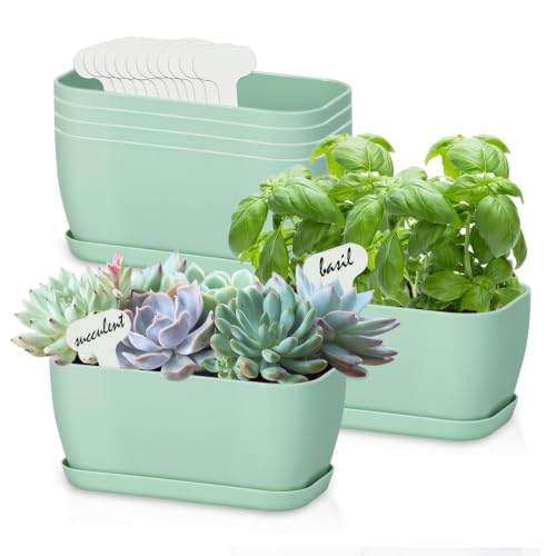6 Set Window Herb Planter Box Rectangular, Green Plastic Planters with Multiple Drainage Holes and Trays,Indoor Succulent Cactus Mint Flower Pot for Windowsill, Garden Balcony - color: Green