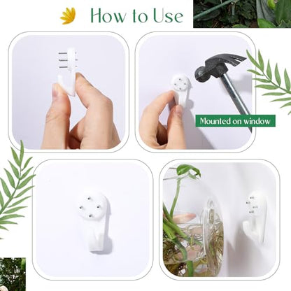 LemonRoad 6 Pcs Wall Hanging Glass Wall Hanging Planter Propagation Station Terrariums Clear Glass Vase Container for Hydroponic Plant Home Office Living Room Bathroom Garden Decor
