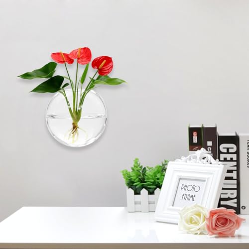 Wall Hanging Propagation Station 6 Pack Oblate Glass Hydroponic Plant Vases | Decorative Wall Mount Planter Vases for Home Bathroom Office, Perfect Housewarming Gift ﻿