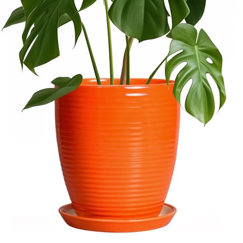 8 Inch Plant Pot, Ceramic Planters for Plants with Drainage and Saucer, Orange - color: Orange, size: 8 Inch