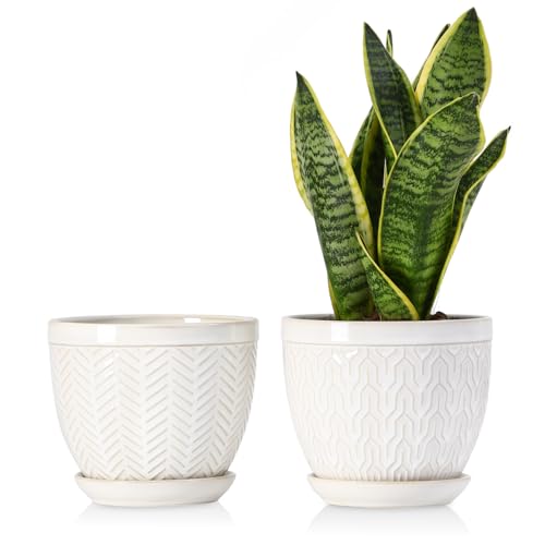 Sureasy 6.5 Inch Ceramic Plant Pots, Embossed Decorative Planters with Drainage Hole and Saucer, Modern Flower Pots for Indoor Plants, Set of 2, Glazed White - color: Glazed White, size: 6.5 inch