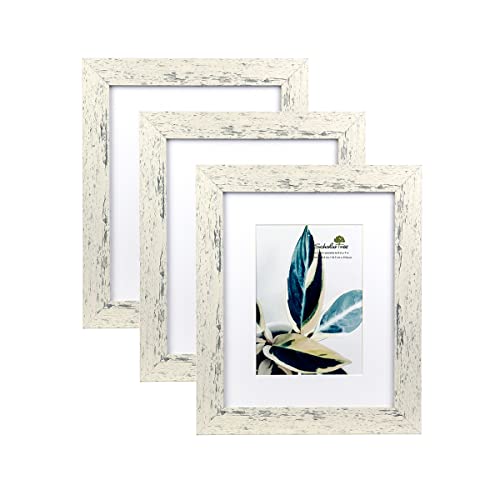 Rustic White 8x10 Picture Frame set of 2,Display 8x10 without Mat or 5x7 with Mat - color: White, size: 8x10 inches