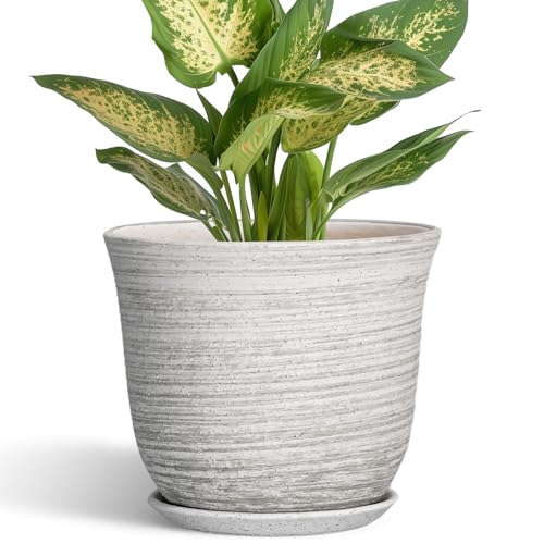 Ceramic Pots for Plants - 5.6 Inch Plant Pot with Drainage Hole and Tray, Round Succulents Pots for Indoor Outdoor, Decorative Planters, Home Room Office Decor, Gifts for Plant Lovers, Grey - color: Grey-white, size: 6 Inch