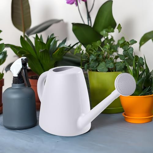ZXJ Plant Watering Cans for Indoor and Outdoor Home Garden Plants - with Long Spout - White - 1/2 Gallon - color: White