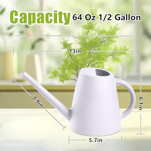 ZXJ Plant Watering Cans for Indoor and Outdoor Home Garden Plants - with Long Spout - White - 1/2 Gallon - color: White