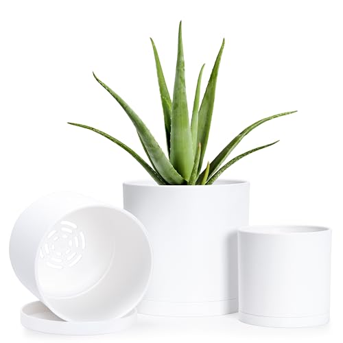 D'vine Dev 3-Pack Plastic Pots & Saucers, 4/5/6 in, White, 74-V-A-1 | Multi-Size Options, Lightweight Durable, Matte Finish, Cylinder Shape, Drainage Holes, Sleek Design, Detachable Saucer - color: Matte White, size: Small