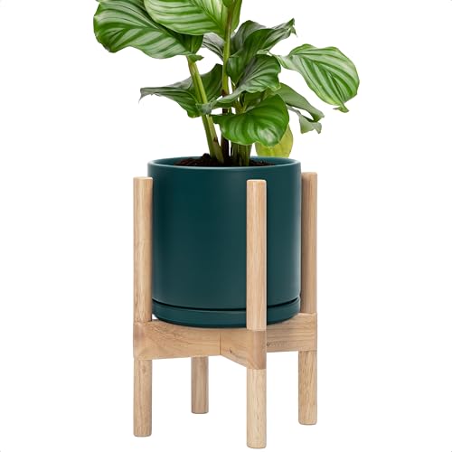 D'vine Dev Ceramic Pot with Natural Wood Stand, Teal, 8 in, 55-B-N-4 | Mid-Century Modern Design, Raised Plant Display, Solid Beech Wood Stand, Premium Craftsmanship, Sophisticated Home Decor - color: Teal Pot + Natural Stand, size: 8 Inch