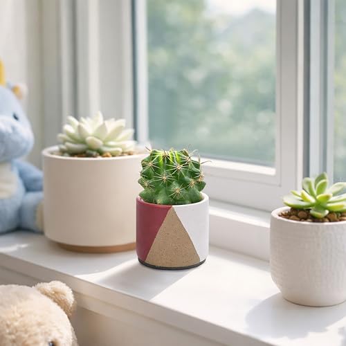 D'vine Dev 2-Pack Cachepot with Clear Pot, 3.5 in, Crimson Dune, 93-V-A-4 | Dual-Pot System, Root Visibility, Bottom Watering Support, Enhanced Drainage, Artistic Stoneware Design, Easy Plant Care - color: Crimson Dune, size: 3.5” Cachepot + 3“ Clear Grow