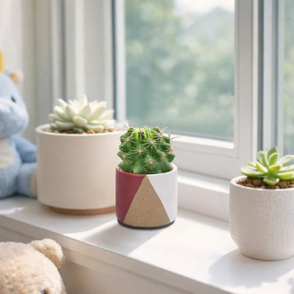 D'vine Dev 2-Pack Cachepot with Clear Pot, 3.5 in, Crimson Dune, 93-V-A-4 | Dual-Pot System, Root Visibility, Bottom Watering Support, Enhanced Drainage, Artistic Stoneware Design, Easy Plant Care - color: Crimson Dune, size: 3.5” Cachepot + 3“ Clear Grow