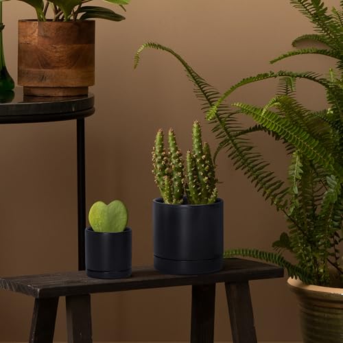 D'vine Dev 2-Pack Ceramic Pots & Saucers, Black, 3.5/4.7 in, 94-G-XS-2 | Glazed Ceramic, Drainage Hole, Perfect-Fit Saucer, Sleek Cylinder Shape, High Temperature Fired, Elegant Home Accent - color: Black, size: X-Small