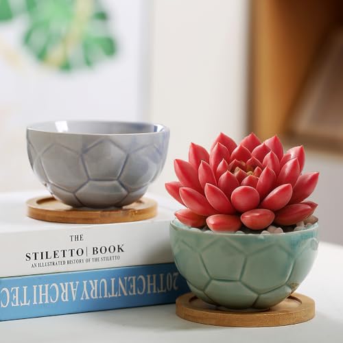 YYW Ceramic Succulent Planter, 4 Pack Cute Garden Pots with Drainage and Attached Saucer - color: Light Ceramics