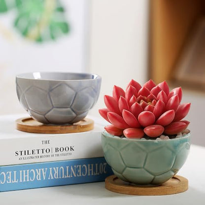 YYW Ceramic Succulent Planter, 4 Pack Cute Garden Pots with Drainage and Attached Saucer - color: Light Ceramics