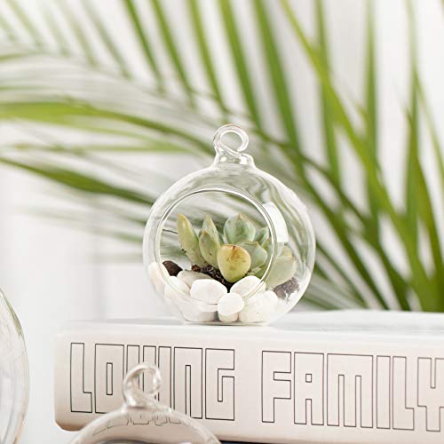 WGV Hanging Terrarium Globe Bulk, Width 2.25", Height 2.75", DIY Air Succulent Planter, Clear Glass Vase Orb with Flat Bottom, Candle Holder for Windowsill Outdoor Garden Decor, 12 Pieces
