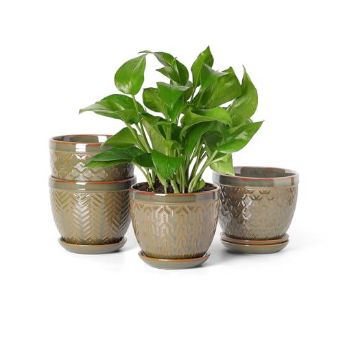 Sureasy Ceramic Indoor Plant Pots, 5.6 Inch Flower Pots for Plants with Drainage Hole and Saucer, Embossed Planter for Succulents, Orchid, Cactus, Indoor Home Decor, Set of 4, Green - color: Green, size: 5.6 inch