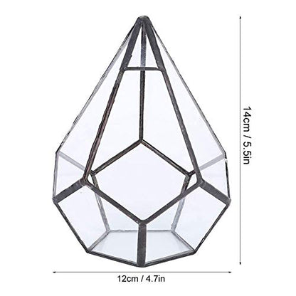 TOPINCN Glass Terrarium Stylish Geometric Shape Planter Succulent Holder Plants Container Flower Pot Tabletop Landscape Decor