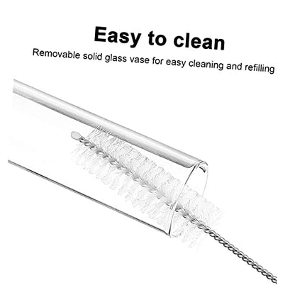 GALPADA Hanging Plant Propagation Station Set Hydroponic Glass Tubes with Cleaning Brush for Home and Office Decoration Wall-Mounted Plant Vase