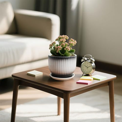 6.7 + 5.5 Inch Ceramic Plant Pots,Set of 2,Planters with Drainage and Saucer,Indoor Pots for Plants,Modern Flower Pots for Home and Office（Black + White） - color: Black + White