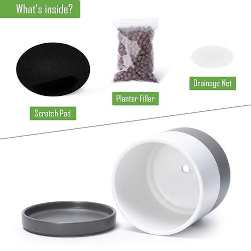 D'vine Dev 2-Pack Ceramic Pots with Saucers, 6/8 in, White/Grey, 94-G-M-6 | Glazed Ceramic, Drainage Hole, Perfect-Fit Saucer, Sleek Cylinder Shape, High Temperature Fired, Elegant Home Accent - color: White/Speckled Grey, size: Medium