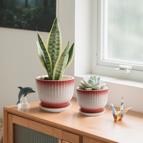 6.7 + 5.5 Inch Ceramic Plant Pots,Set of 2,Planters with Drainage Hole and Saucer,Flower pots for Indoor Plants,Elegant Design(Pink + White, - color: Pink + White