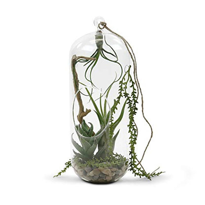 WGV Hanging Glass Plant Terrarium Bulk, Width 5", Height 12", Lantern DIY Air Succulent Planter Clear Tea Light Votive Candle Holder, Wedding Event Office Home Outdoor Decor, 12 Pieces