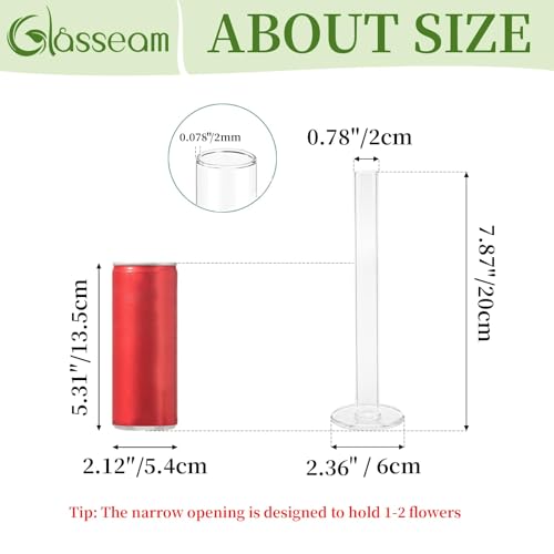 Glasseam Glass Bud Vase for Centerpieces, 16Pcs Clear Small Flower Vase Set | For Single Rose, 7.87" Tall, Skinny Cylinder, Modern, Table Decorations for Living Room, Kitchen, Wedding, Party, Baby Shower