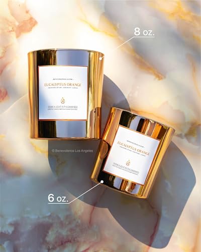 Benevolence LA Premium Eucalyptus Orange Scented Candle – Long-Lasting, 45-Hour Burn – Luxury Natural Soy Wood Wick Candle for Home – Aromatherapy & Room Decor – 8oz - size: 8 oz - 1 wick