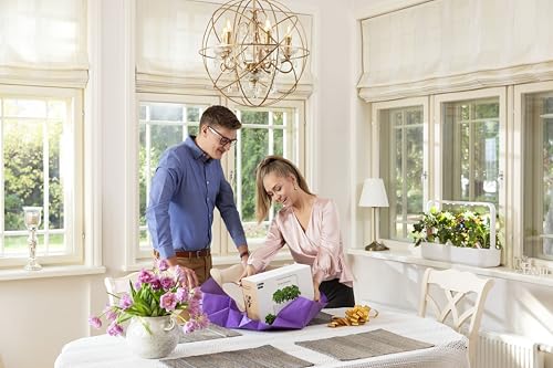 Click & Grow Indoor Herb Garden Kit with Grow Light | Smart Garden for Home Kitchen Windowsill | Easier Than Hydroponics Growing System | Vegetable Gardening Starter (3 Basil Pods Included), White | Easier than a hydroponic growing system. Patented Smart