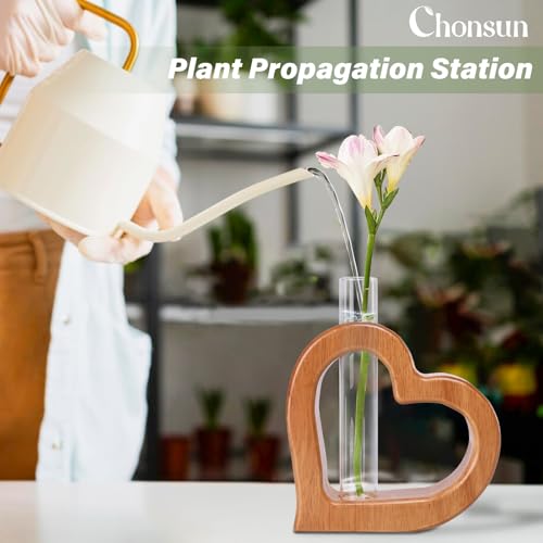 Plant Propagation Stations 2 PCS Wall Hanging Planters | Wall hanging Glass Tubes Terrarium Plants for Indoor Plant Rooting Gardening Gift for Plant Lovers - size: 5.3IN