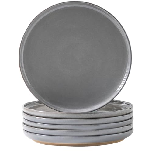 Ceramic Dinner Plates Set of 6,Stoneware 10 Inch,Microwave,Dishwasher and Oven Safe,Porcelain Dessert Plates for Pasta,Salad and Steak,Christmas Gift,Dish for Kitchen,Scratch Resistant,Gray - color: Gray, size: 10 Inch(6 PC)
