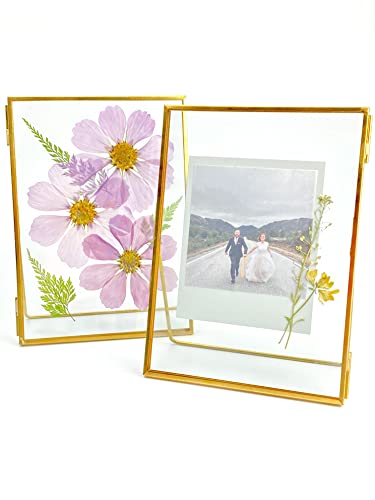Beedecor Double Glass Frame for Pressed Flowers, Leaf and Artwork,Gold Standing Metal Picture Frames, Set of 2 Pressed Flower Frames with Stand (Gold, 5x7) - color: Gold, size: 5x7
