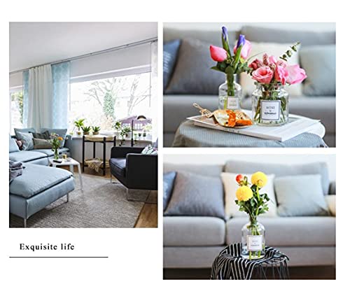 Glass Bud Vase Set Nordic Clear Glass Bud Flowers Apothecary Jars Mini Desktop Table Vases Decorative Glass Bottles Centerpiece for Wedding Craft Art Living Room Home Decoration (8.5oz-1pc) - size: 8.5oz-1pc