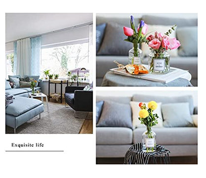 Glass Bud Vase Set Nordic Clear Glass Bud Flowers Apothecary Jars Mini Desktop Table Vases Decorative Glass Bottles Centerpiece for Wedding Craft Art Living Room Home Decoration (8.5oz-1pc) - size: 8.5oz-1pc