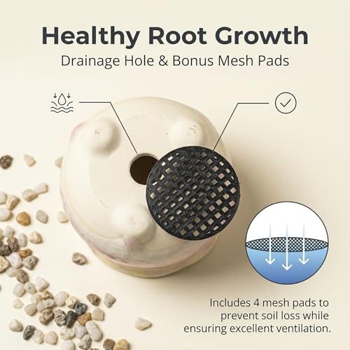 Ceramic Succulent Planters with Crackle Glaze, Gradient Color Small Flower Pots for Cacti and Plants, 3.23in Diameter x 2.8in Height, 4 Pack