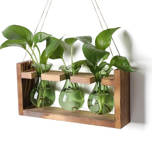 Plant Propagation Station Plant Terrarium Unique Birthday Gifts for Women | Plant Lovers Home Office Decor Planter with Wooden Stand - 3 Bulb Glass Vase - color: Green