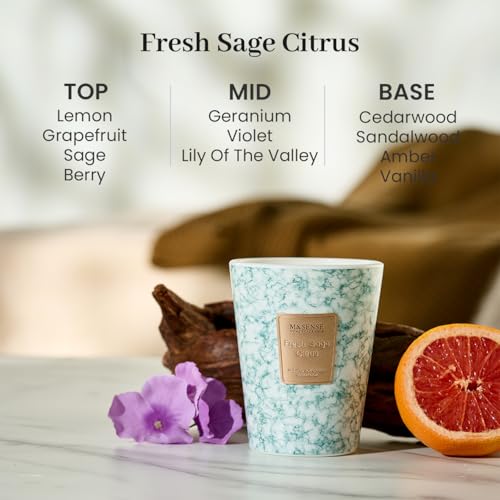 M&SENSE Fresh Sage Citrus Scented Soy Candle, 3 Wick Highly Scented 14.1 Oz 75H, Aromatherapy Christmas Gift for Women and Men - color: FreshSageCitrus, size: Medium