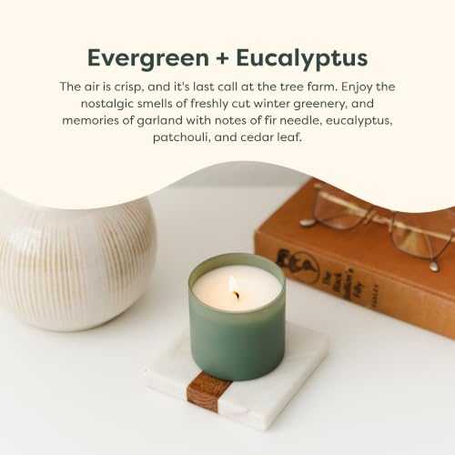 Dignity Series Evergreen & Eucalyptus Bourbon Scented Candle | 35 Hour Burn - Made in the USA Luxury Clean Soy Wax Candles - Long Lasting Glass Jar Candle for Home - 1 Wick - 5.3oz - color: Evergreen + Eucalyptus