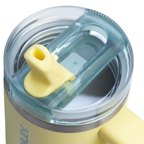 STANLEY Quencher ProTour Flipstraw Tumbler, 14 oz, Pomelo | Built-In Straw & Handle | Cupholder Compatible for Travel | Leakproof Insulated Stainless Steel Cup | BPA-Free - color: Pomelo, size: 14 Ounces
