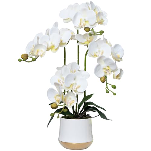 Artificial Orchid Flowers in Ceramic Vase 19.5 Inch Realistic Faux Orchids | White Fake Flower Silk Phalaenopsis Plant Arrangements for Home Office Restaurant Indoor Centerpiece Decor (Set of 4 Stems) - color: White, size: 14CM- WhiteGolden