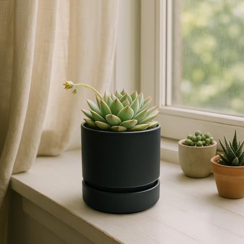 Phoenix Vine 4 Inch Planter Pot with Drainage Hole & Saucer, Deep Water Catch Tray, Straight Cylindrical Round Pot for Plants, Matte Black, Pack of 4, 23-C-R-4 - color: Matte Black, size: 4" (4 Pack)